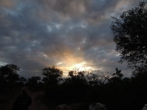 kruger