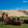 Rep. Popolare di Mongolia e Cina – 11 giorni