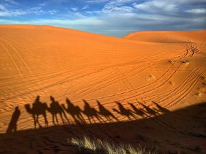 Arabia Saudita – 8 giorni – Miraggi