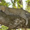 KENYA   – 11 giorni – Tramonti d’Africa