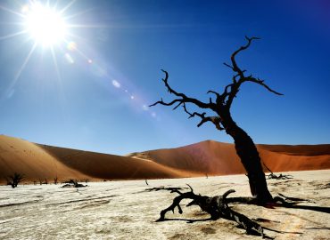 Namibia, Botswana e Zimbabwe –  Tramonti Africani 2027 – 16 giorni