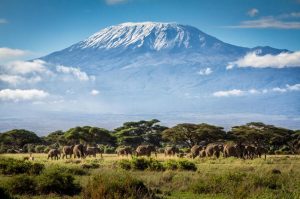 Kilimanjaro trek