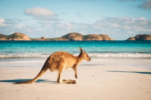 Kangaroo Island