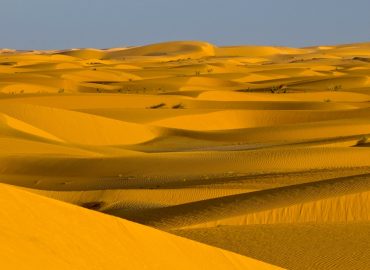 Algeria – Il Grande Erg Algerino – 10 giorni