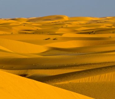Algeria : quello che non so..