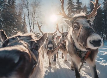 Finlandia – Terra di Mezzo – 5 giorni